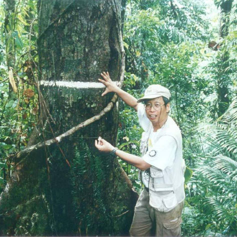 Why the Philippines is considered to be deadliest for envi defenders.