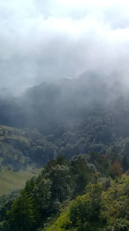 Vista desde la Casa de Piedra