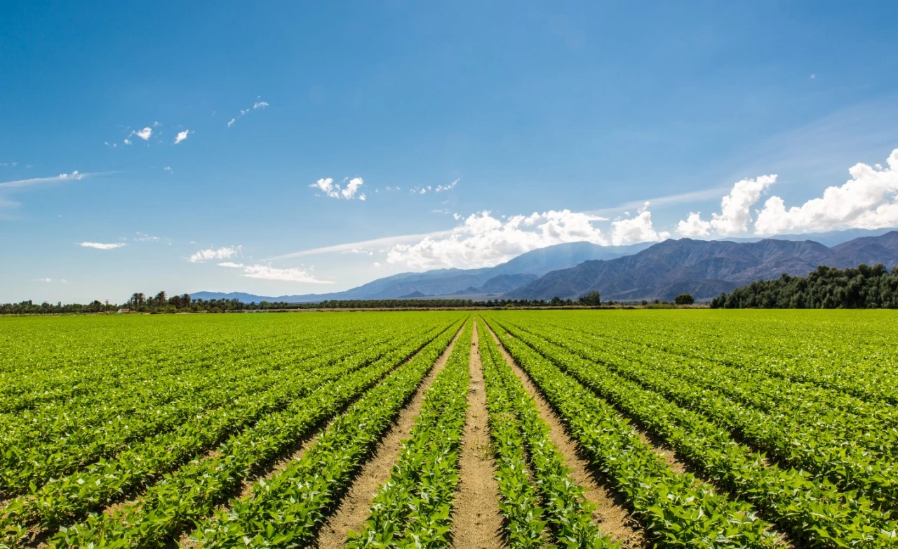 CA_farm_08222022istock.jpg.webp