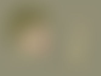 Digital Painting Challenge
