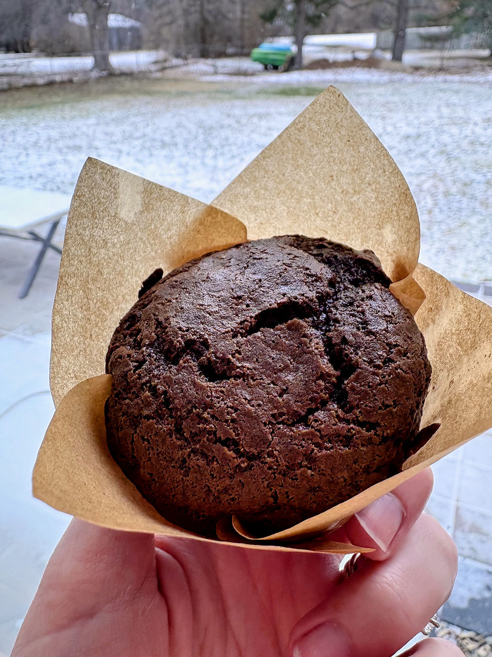 Double Chocolate Muffin image