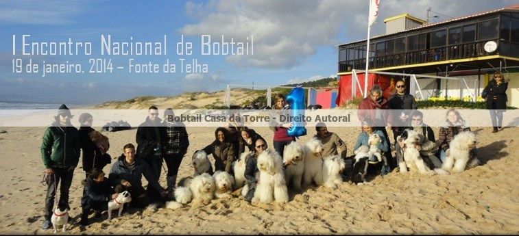 "Cãovívio" na Fonte da Telha