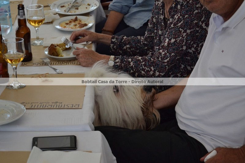 Almoço/Cãovívio na Zona Oeste