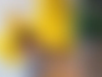 Alumni Spotlight: Kavon Newman