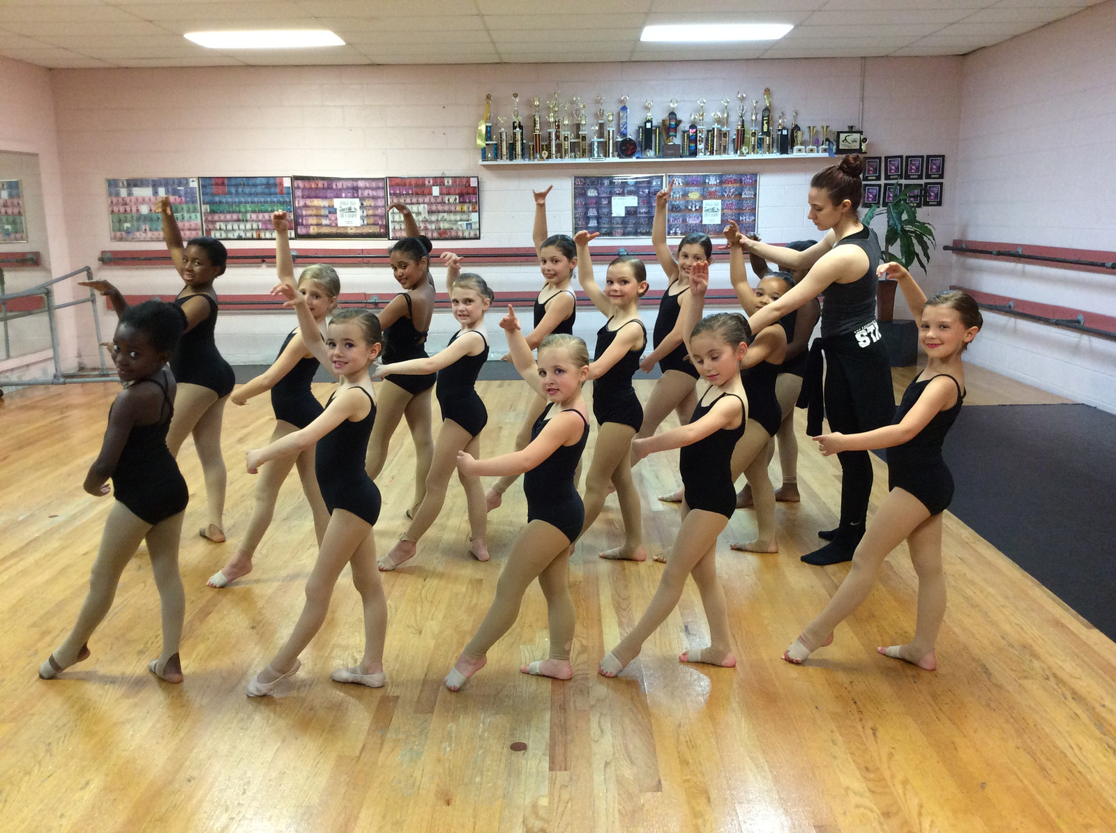 The Academy of Dance and Gymnastics