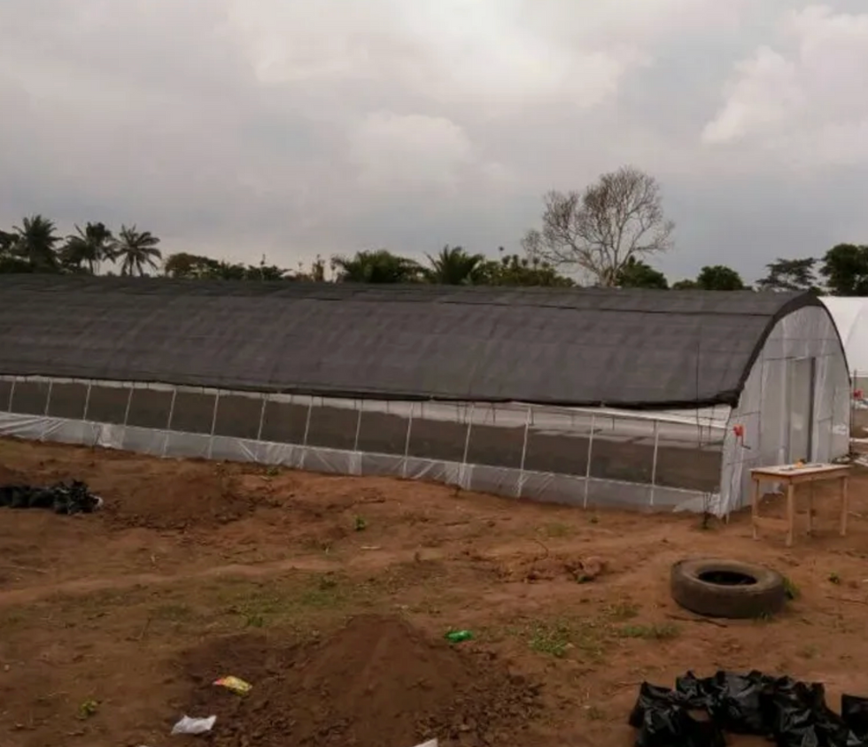 Low-tech Greenhouse with Shading