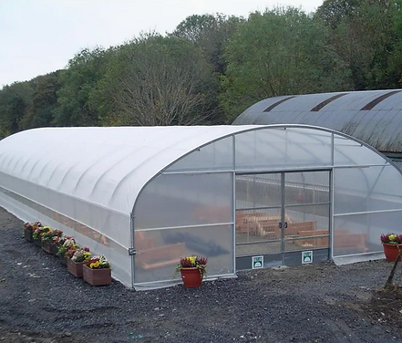 greenhouse 1.png