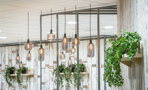CAFETERIA SL