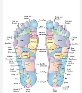 acupuncture foot diagram