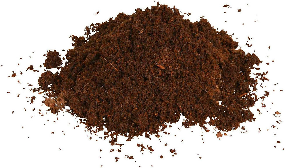 Miniature : Trixie Reptiland Fibres de noix de coco, pressé | Substrat pour terrarium 9 l