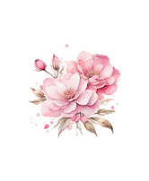 Diseño sin título (1).png