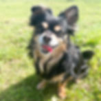 279356294_10219359214106299_9120230679047818993_n.jpeg