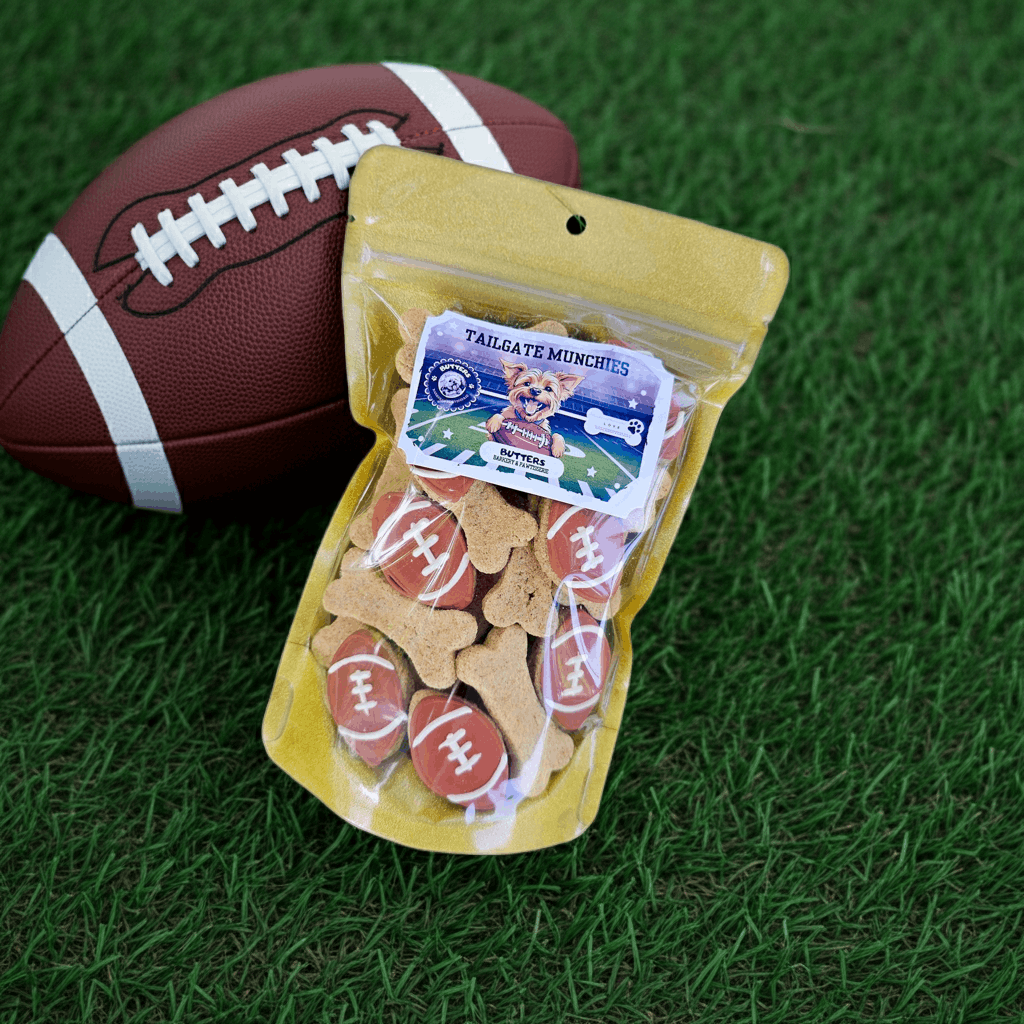 Game Day Football Dog Treat Bag