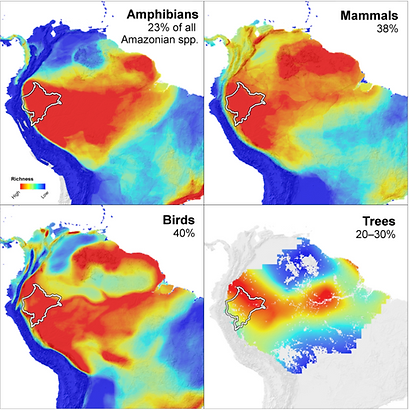 Diversity density map of Amazon region