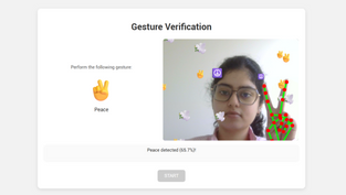 Wave to Prove You’re Human: A Gesture-Based Authentication System