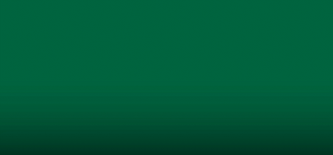 ENCARADA SILVAxSONNEN (CENTRO)_1.gif