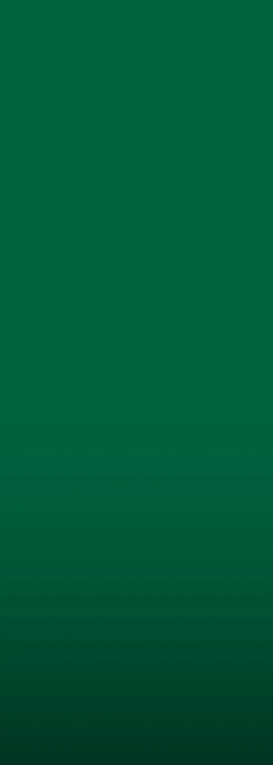 ENCARADA LATERAL_DIRS ONNEN_1.gif