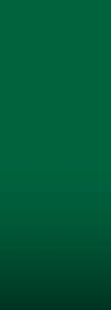 ENCARADA LATERAL_ESQ SILVA_1.gif