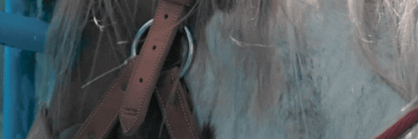 Copy of banner running M.gif