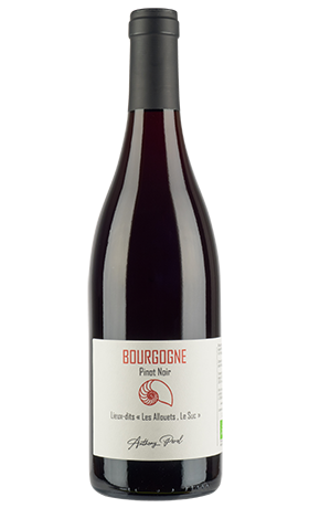 Bourgogne Pinot Noir