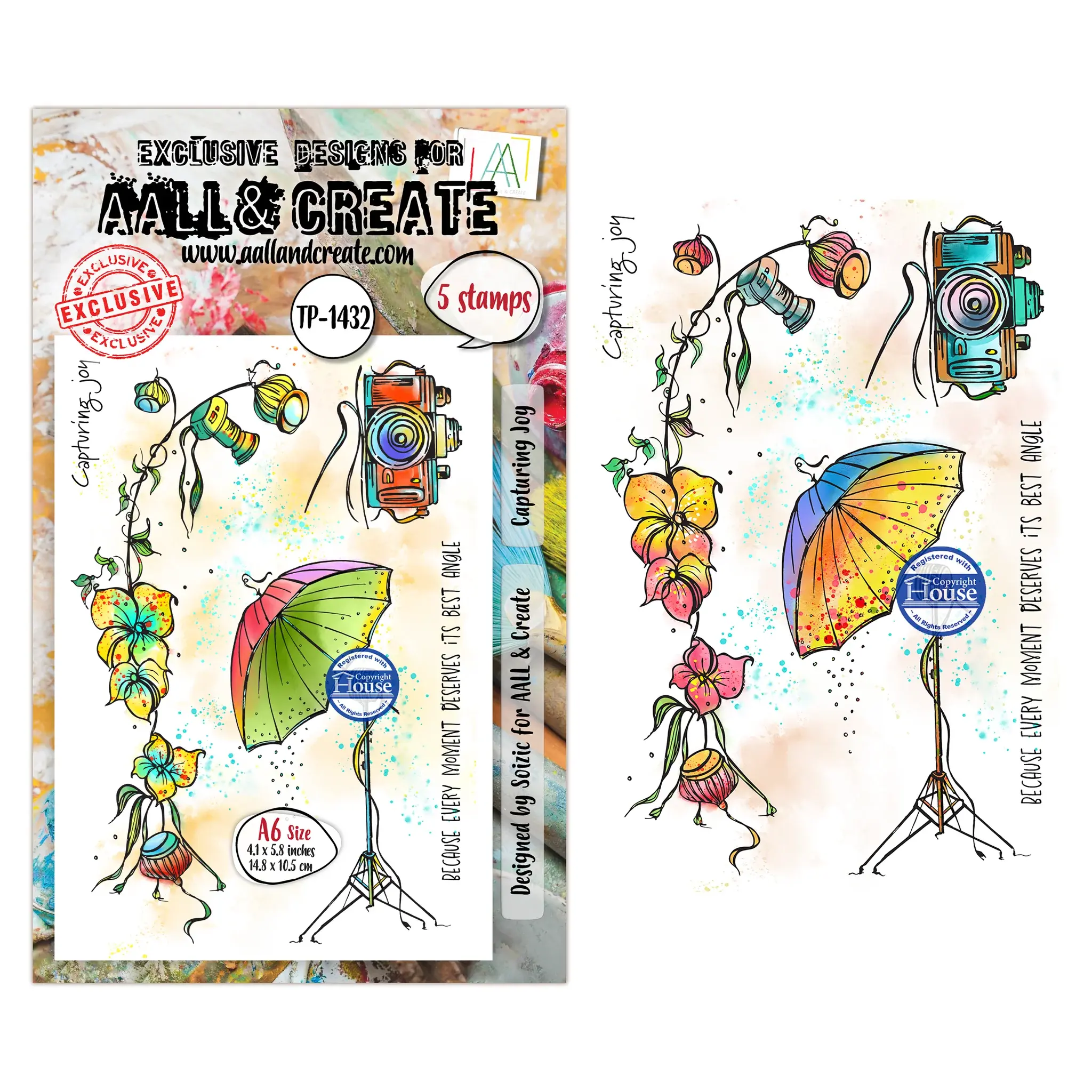 AALL and Create Through The Lens Collection Clear Stamps - Capturing Joy
