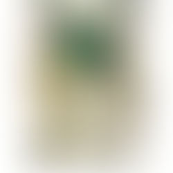 New Ciao Bella Release! 