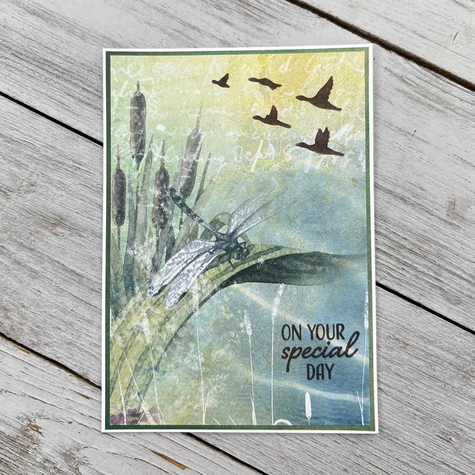 Thumbnail: Studio Light The Pondering Dreams Bundle Collection