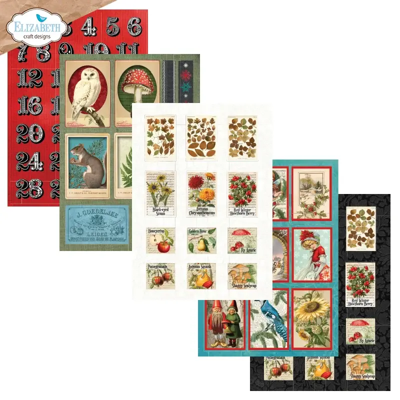Thumbnail: Elizabeth Craft Design Everyday Ephemera 3