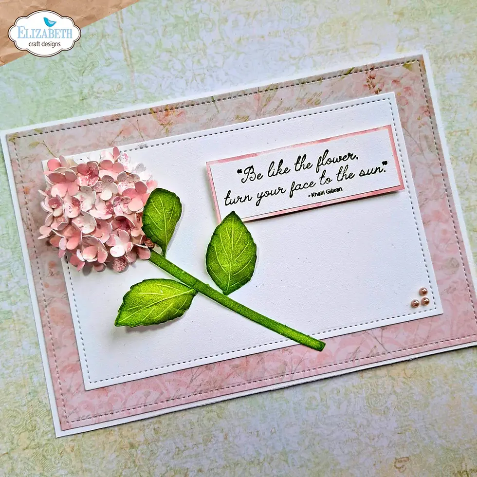 Thumbnail: Elizabeth Craft Designs Stitched rectangles and labels