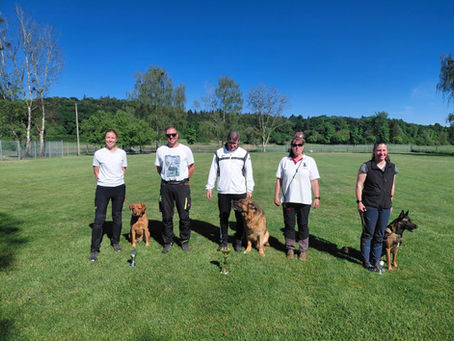 Landessiegerprüfung IFH und Bayern-Pokal beim VdH Radolfzell-Böhringen
