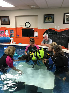 Students in the pool