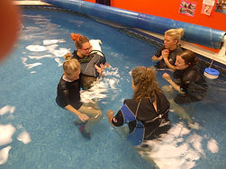 Students in the pool