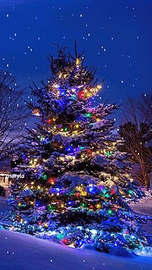 HYMN 248 When Christmas Lights are Sparkling