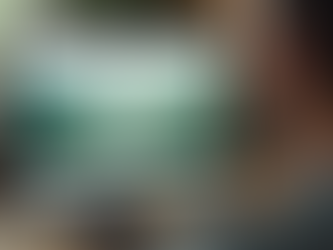 Why You Might Have Missed Our Palm Sunday Blog Update