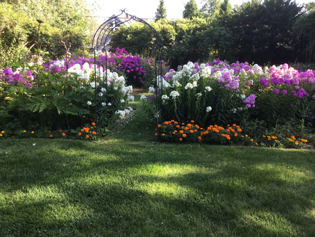 HYMN 207 For the Beauty of the Earth