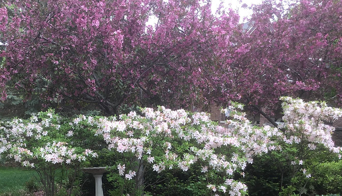 HYMN 86 The Sun Now Shines in all its Splendor/I al sin glans