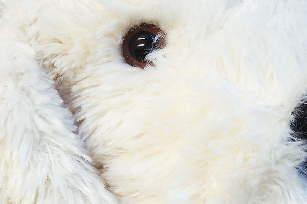 Miniaturbild: Biophotonen Kuscheltier Photonino
