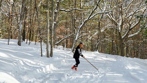 The mind is the master weaver