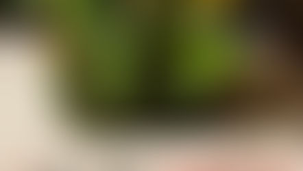 We, the fringe, have acceptable views