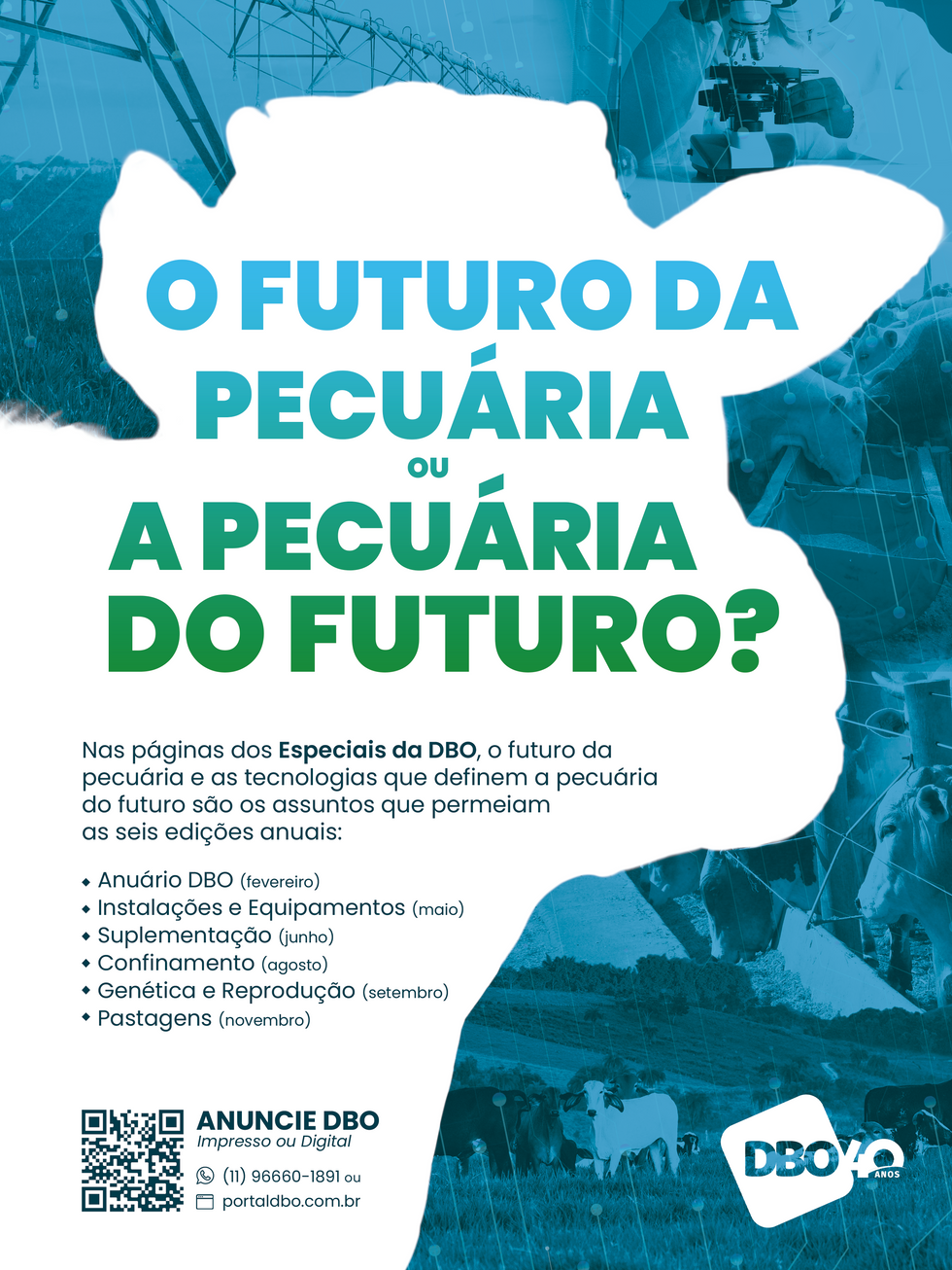 Página - Especiais DBO