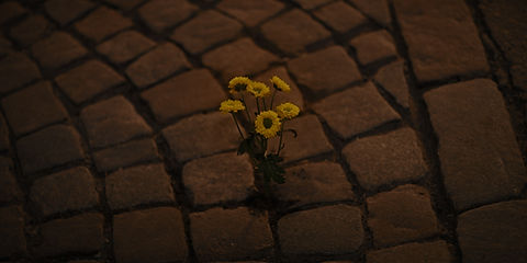 Futur-Screenshots-5.jpg