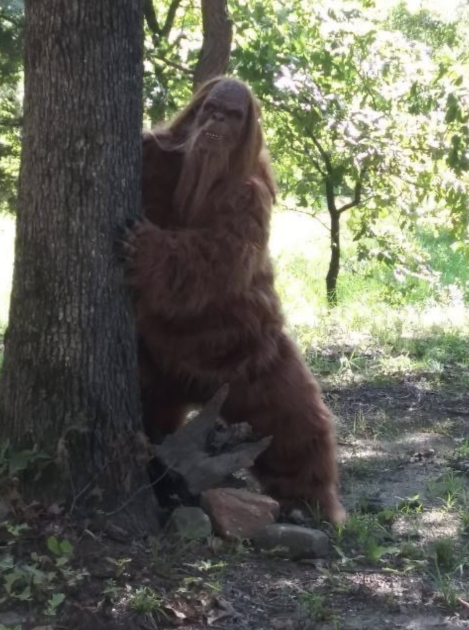 Bigfoot Country Broken Bow / Hochatown Adventures