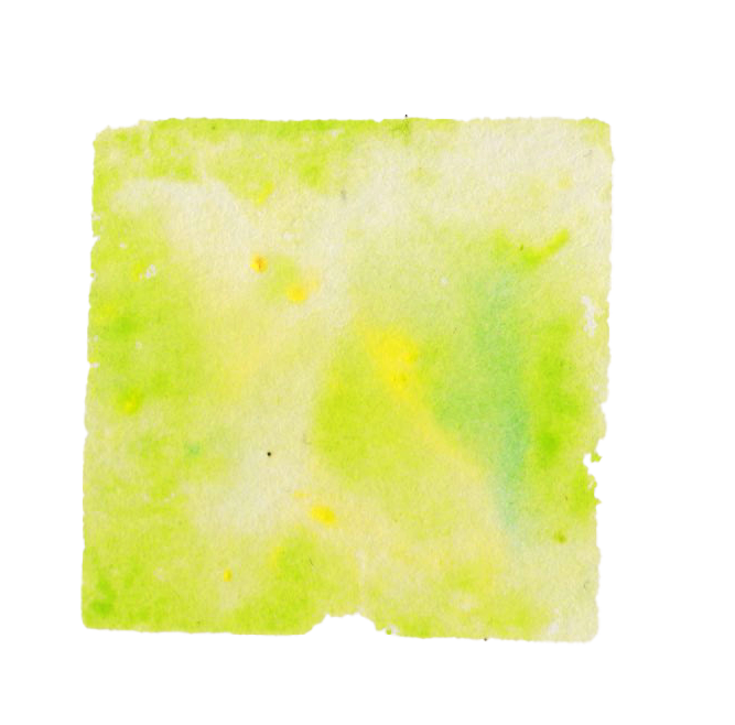 IMG_20241019_0001.png