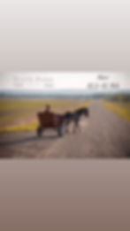thumbnail_3A91EE90-4DD8-4D1D-9560-ED206F054D0B