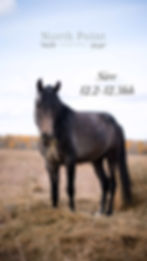 thumbnail_175B4CBC-66B7-44F7-96EA-7EEC8E61D2A7