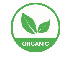 Thumbnail: Original VENUS