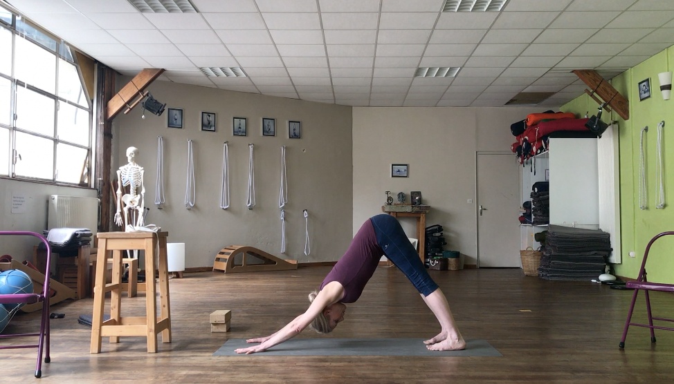 Yoga Iyengar - Vidéo #Y3 - avec Julien Cailleux
