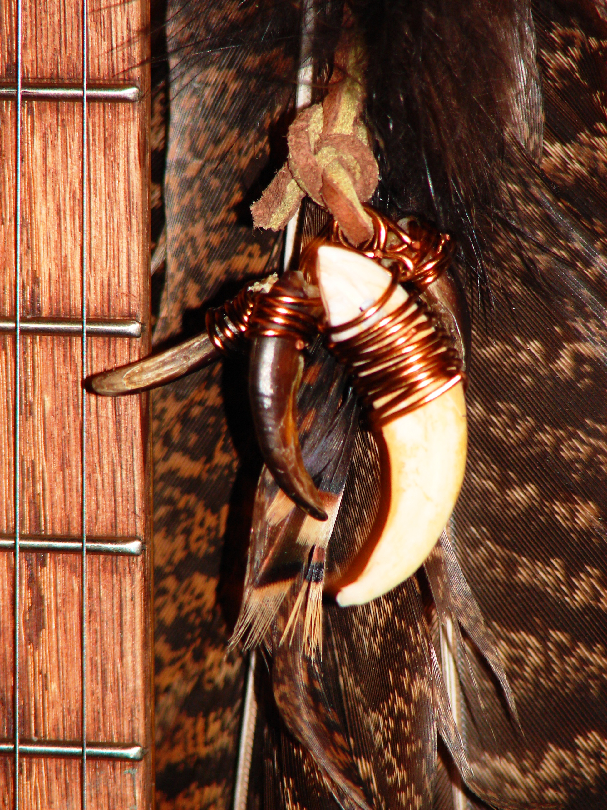 Boars tusk & porcupine claws