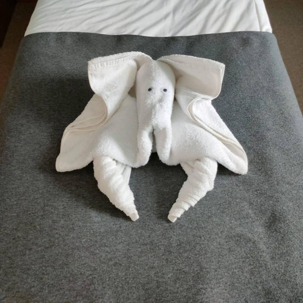 A whimsical towel sculpture resembling something that the author wanted to be a lion with a mane.