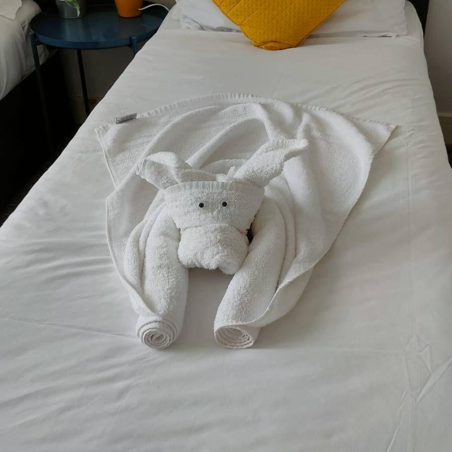 Neatly folded super towel-dog, "flying through the air" spread out on a white bed.